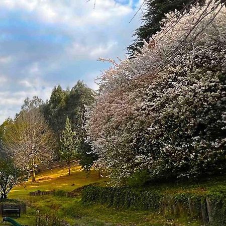 Malachite Manor Underberg Bagian luar foto