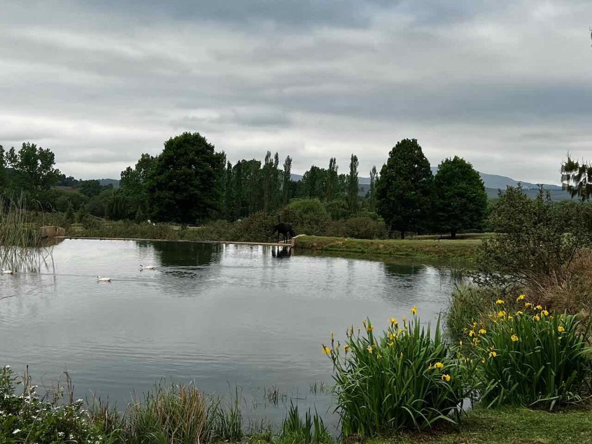 Malachite Manor Underberg Bagian luar foto