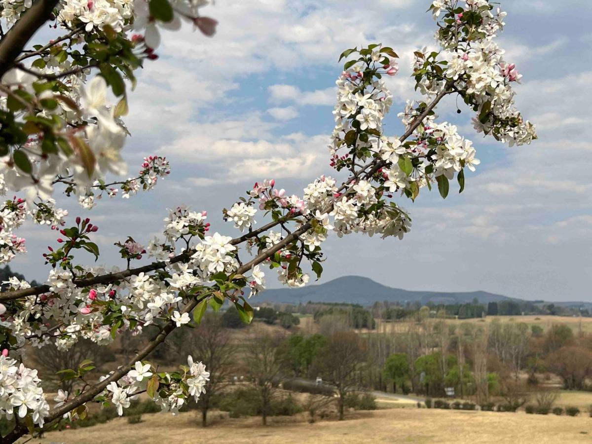 Malachite Manor Underberg Bagian luar foto