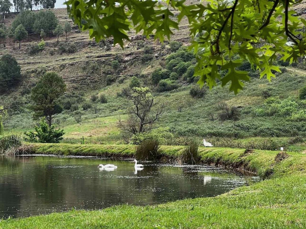 Malachite Manor Underberg Bagian luar foto