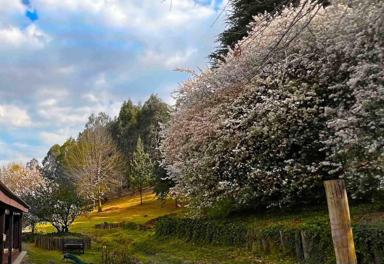 Malachite Manor Underberg Bagian luar foto